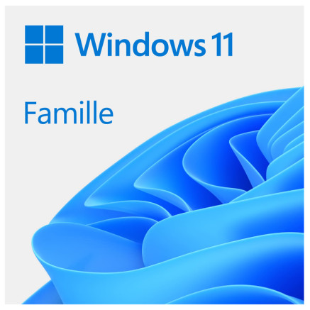 Windows 11 Home FR - Version DVD (OEI) pour Professionnels et Revendeurs